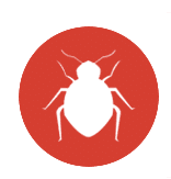 white bedbug icon with red circle