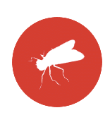 white fly icon with red circle