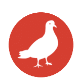 white pigeon icon with red circle