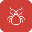 beetle-control