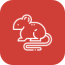 rat